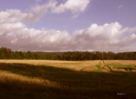 Kubišová Dagmar: Podzimní