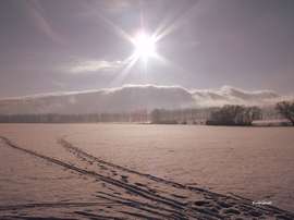 Kubišová Dagmar: Hvězda svítí nad Betlémem